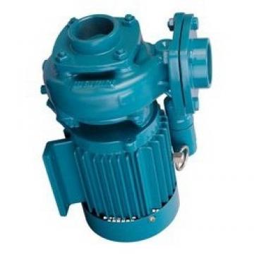 Atos PFG-340 fixed displacement pump