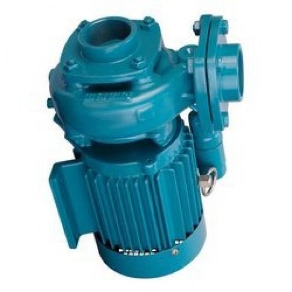 Atos PFG-199 fixed displacement pump #1 image